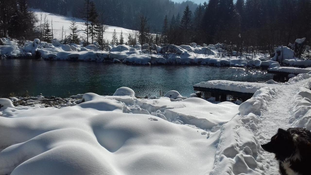Apartma Kramar Podkoren Kranjska Gora Buitenkant foto